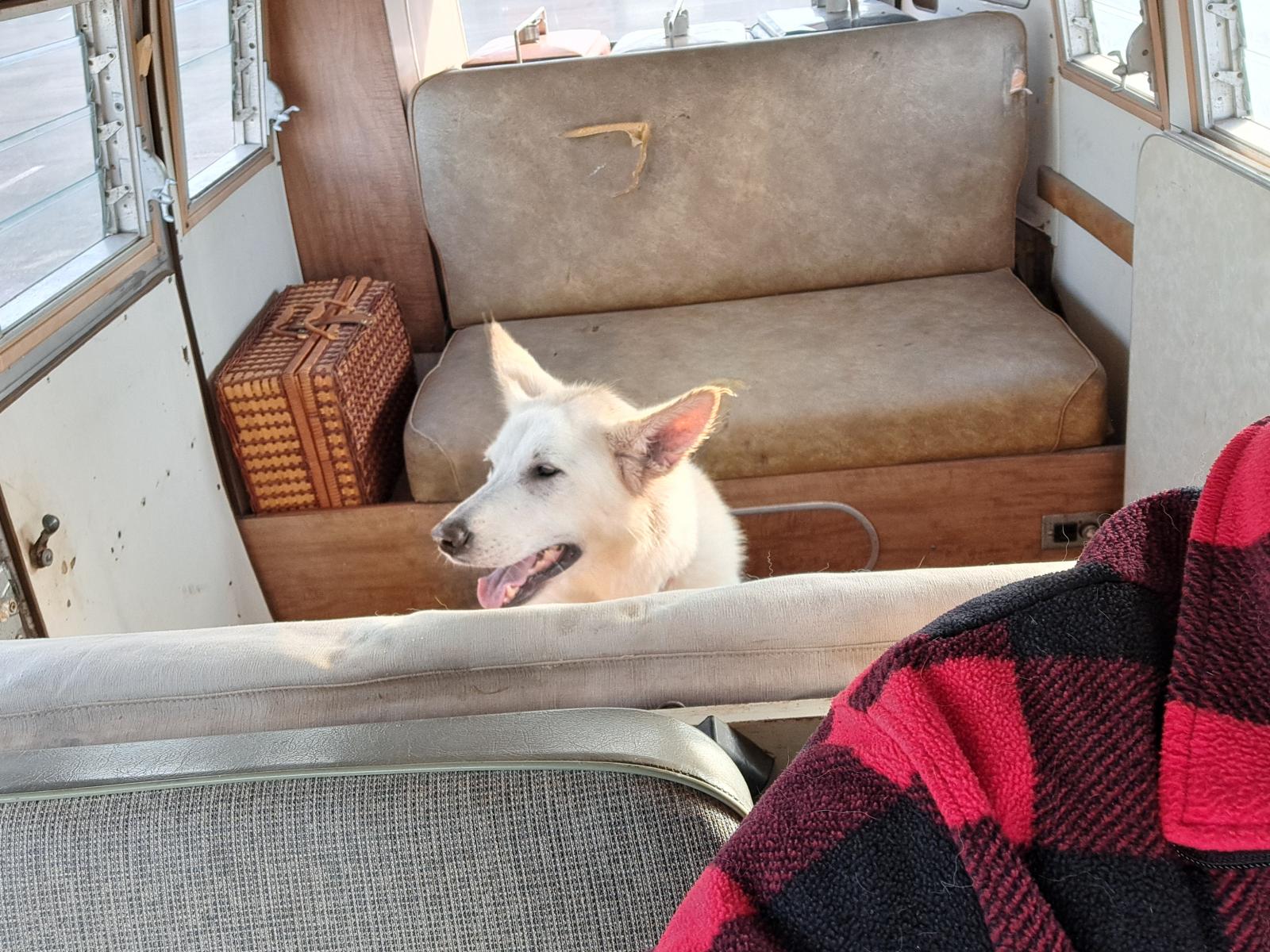 Image may have been reduced in size. Click image to view fullscreen.