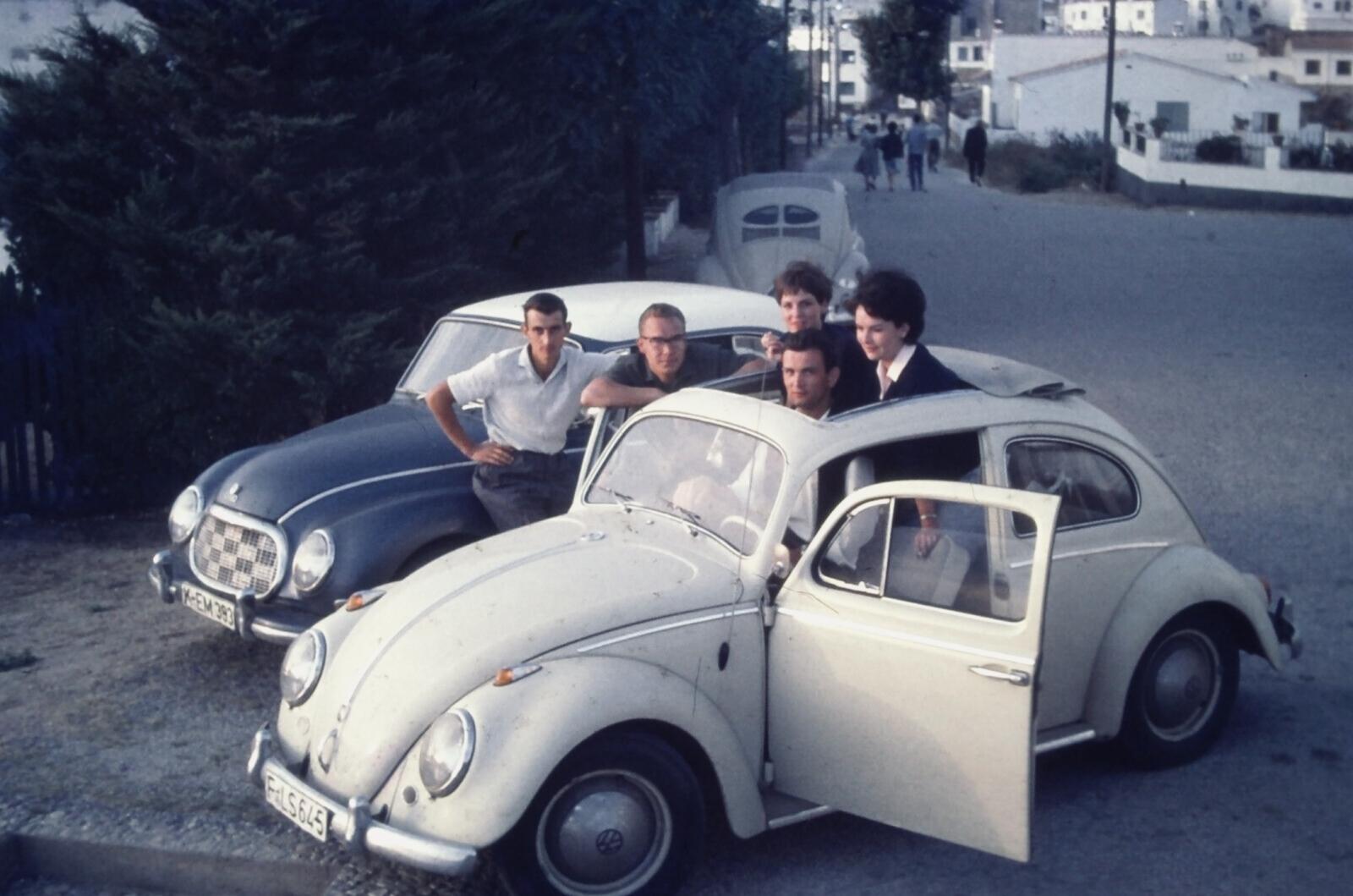 Image may have been reduced in size. Click image to view fullscreen.