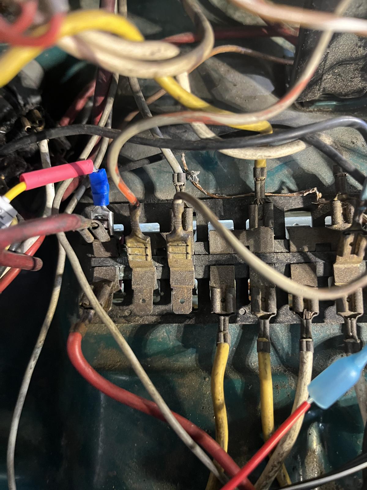 Image may have been reduced in size. Click image to view fullscreen.