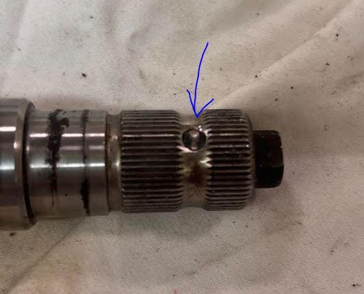 Image may have been reduced in size. Click image to view fullscreen.