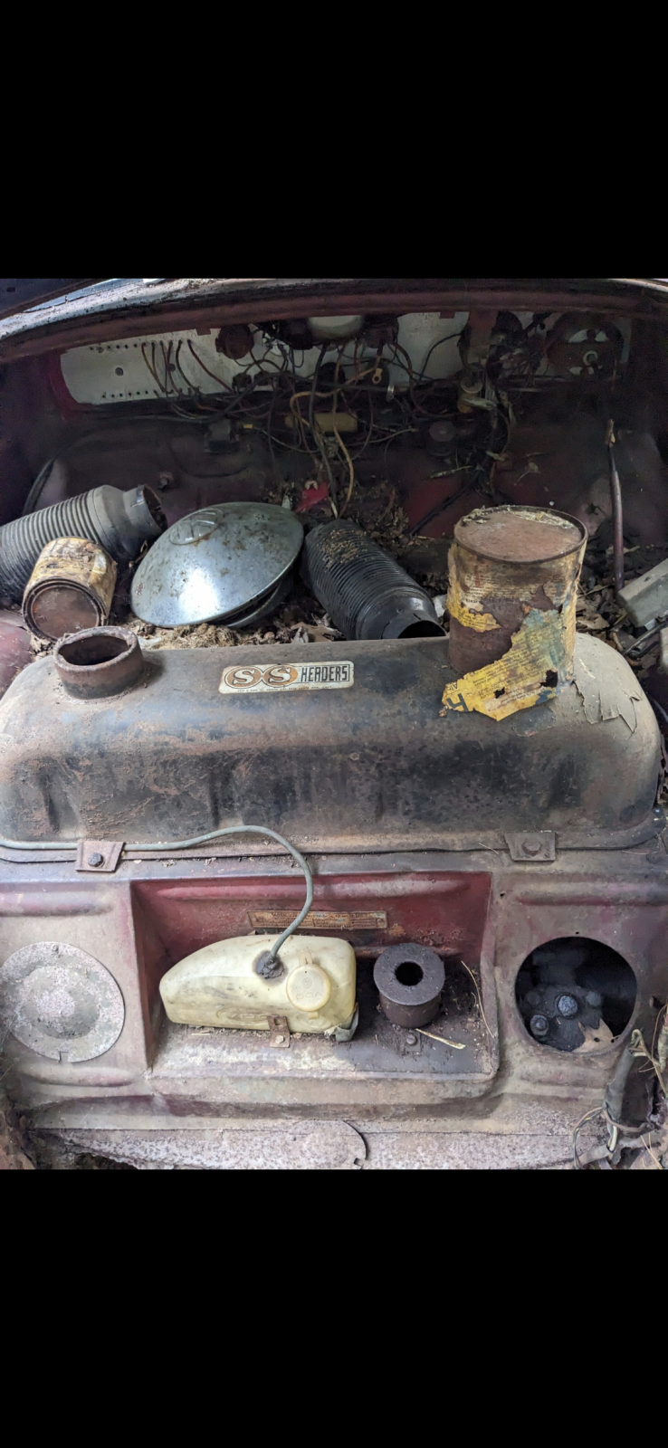 Image may have been reduced in size. Click image to view fullscreen.
