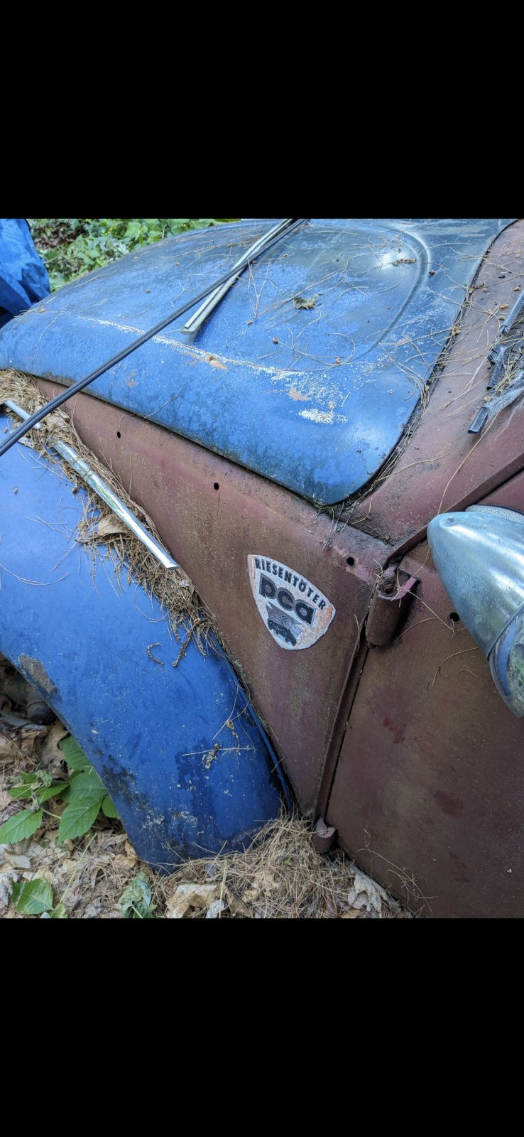 Image may have been reduced in size. Click image to view fullscreen.