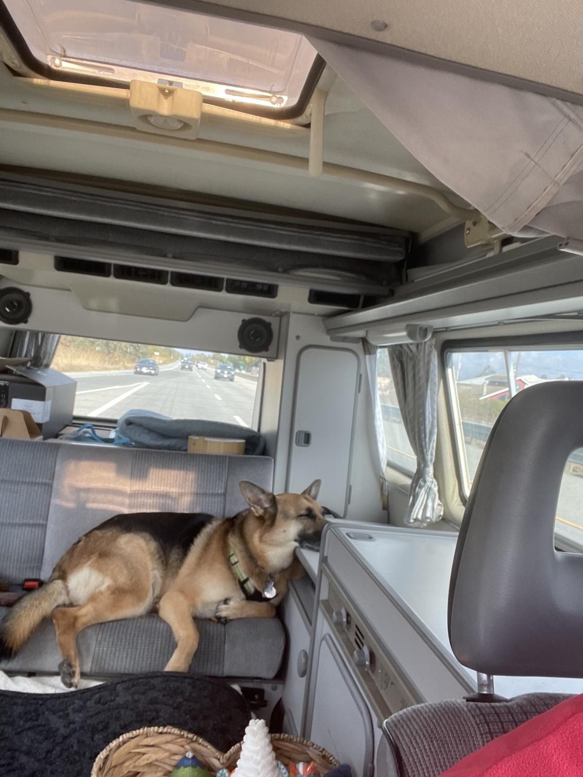 Image may have been reduced in size. Click image to view fullscreen.