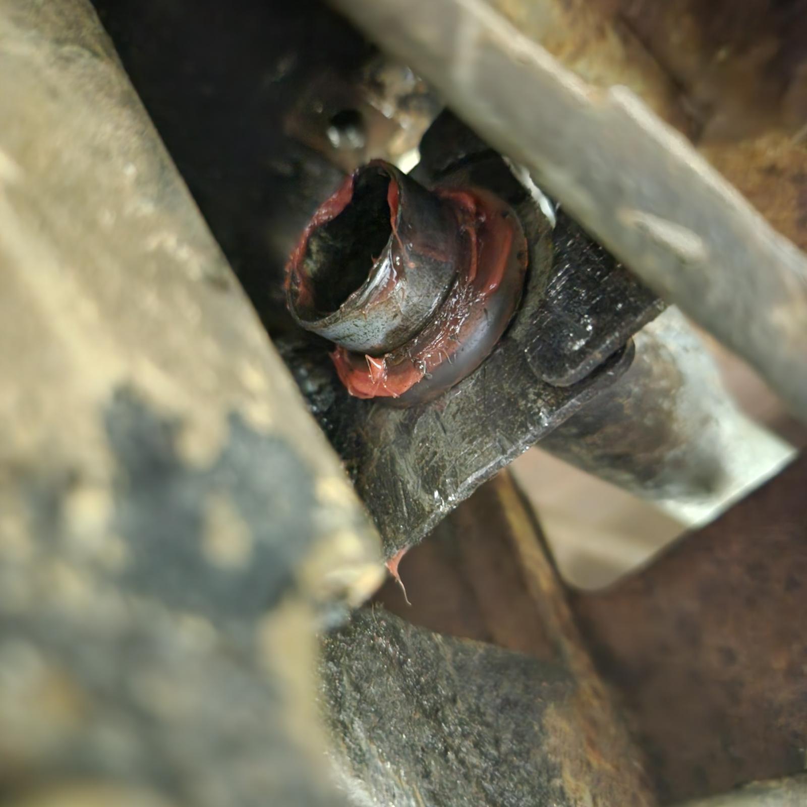 Image may have been reduced in size. Click image to view fullscreen.