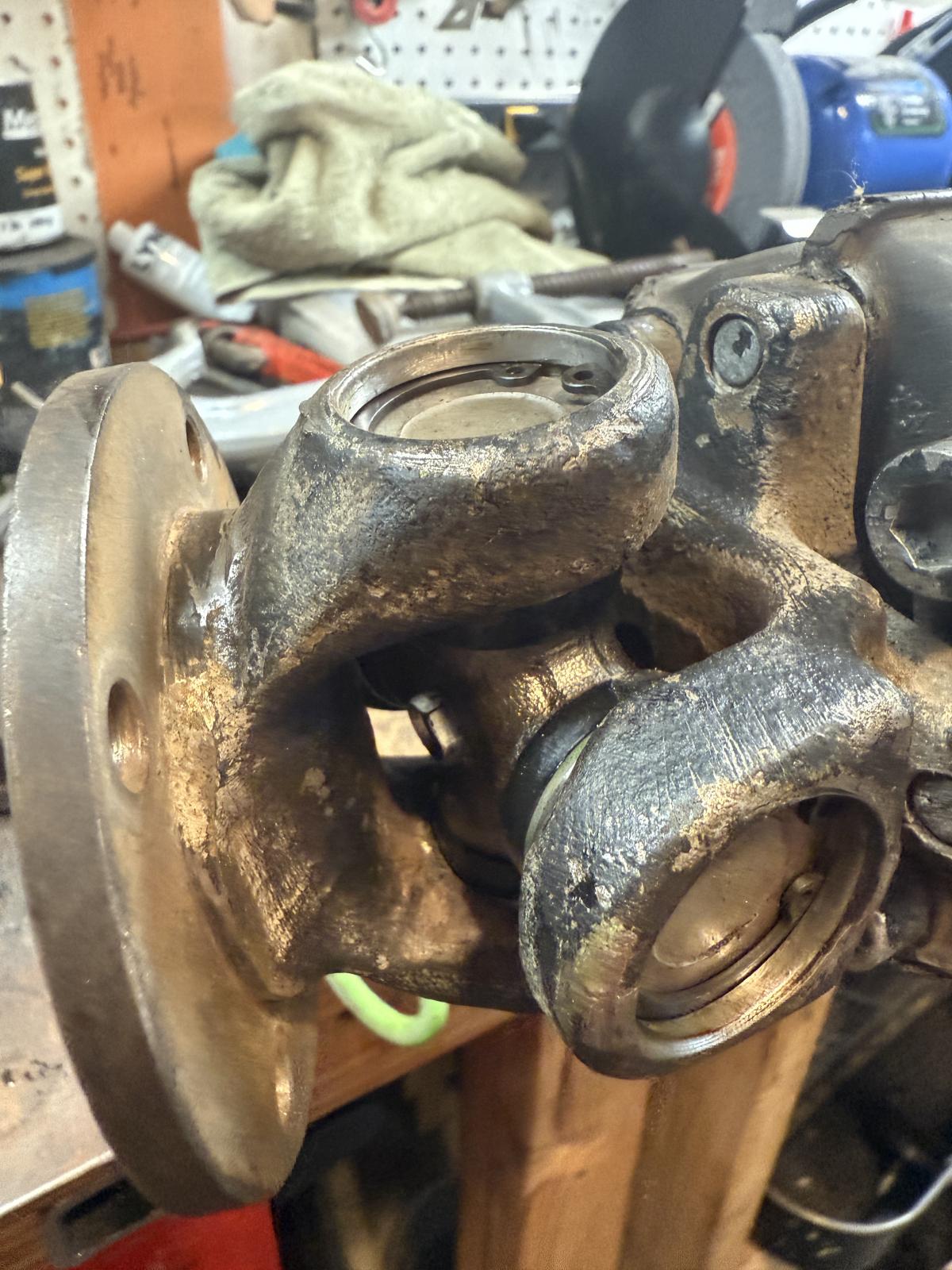 Image may have been reduced in size. Click image to view fullscreen.