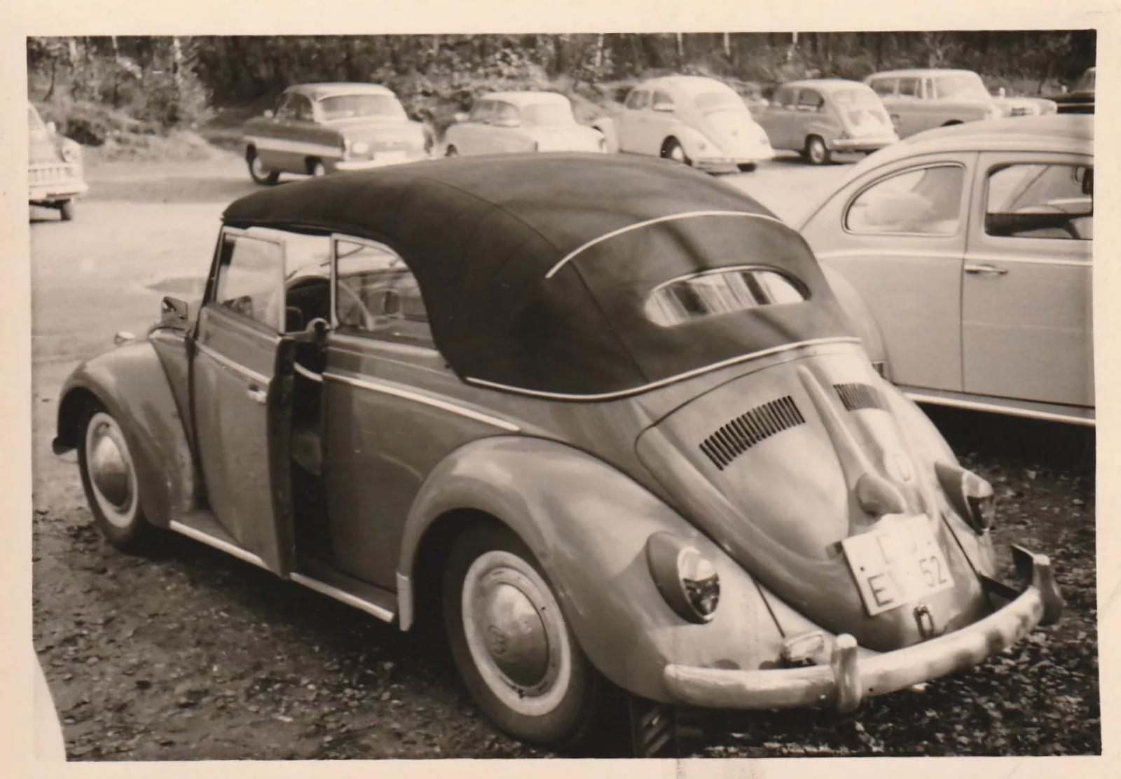 Image may have been reduced in size. Click image to view fullscreen.