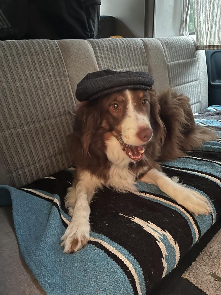 Image may have been reduced in size. Click image to view fullscreen.