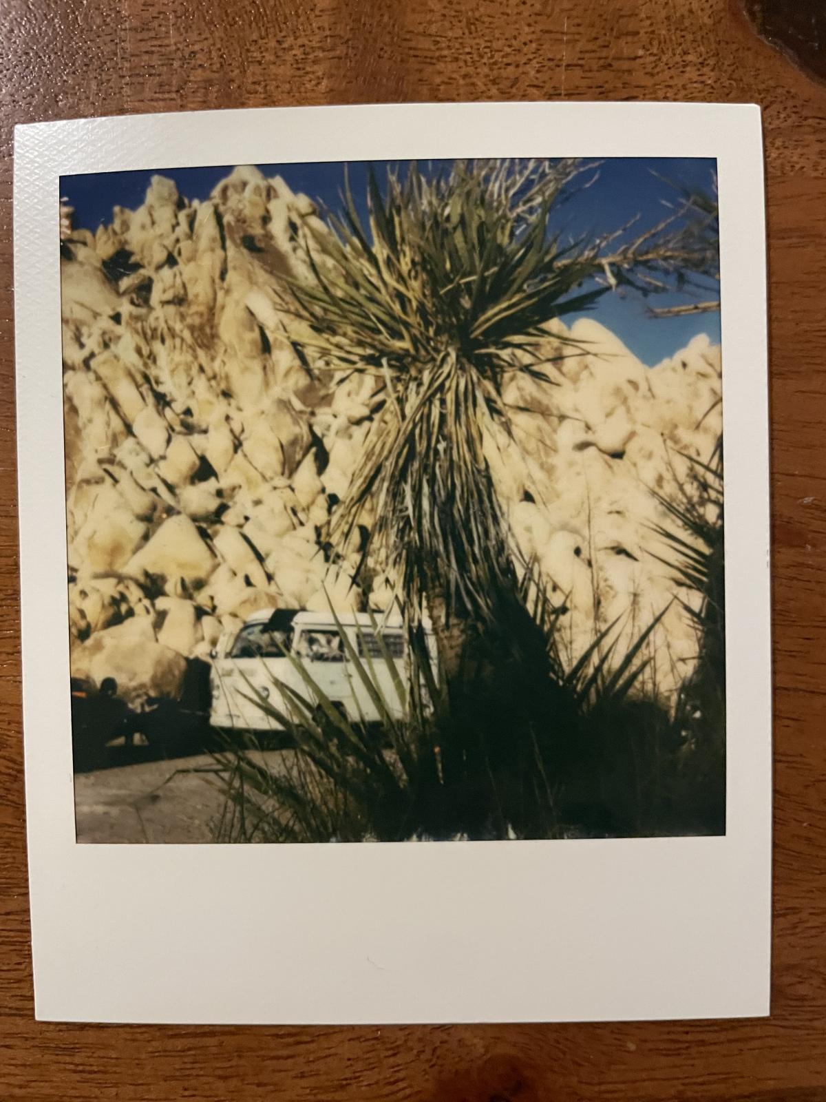 Image may have been reduced in size. Click image to view fullscreen.