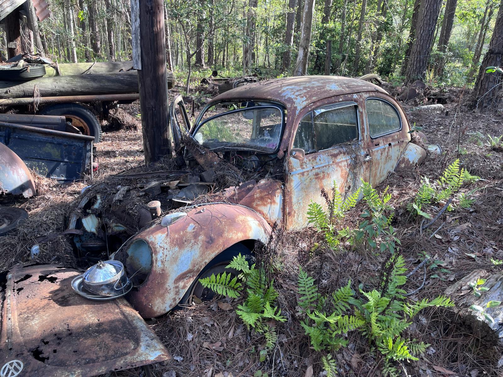 Image may have been reduced in size. Click image to view fullscreen.