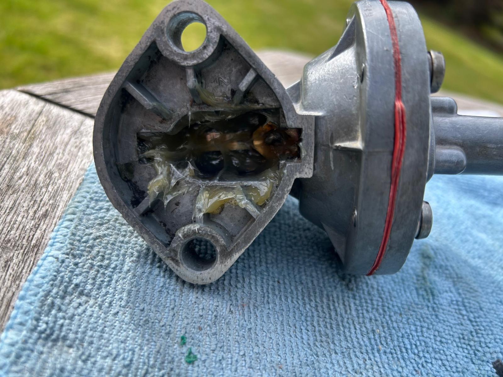 Image may have been reduced in size. Click image to view fullscreen.