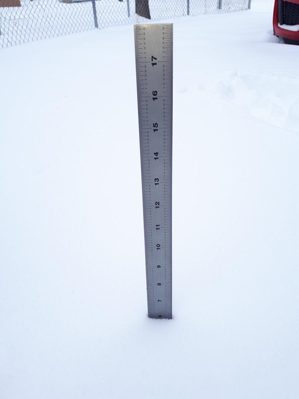 Image may have been reduced in size. Click image to view fullscreen.