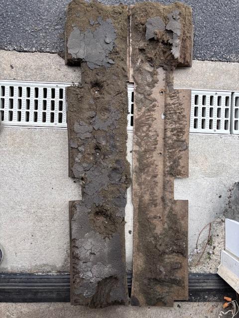 Image may have been reduced in size. Click image to view fullscreen.