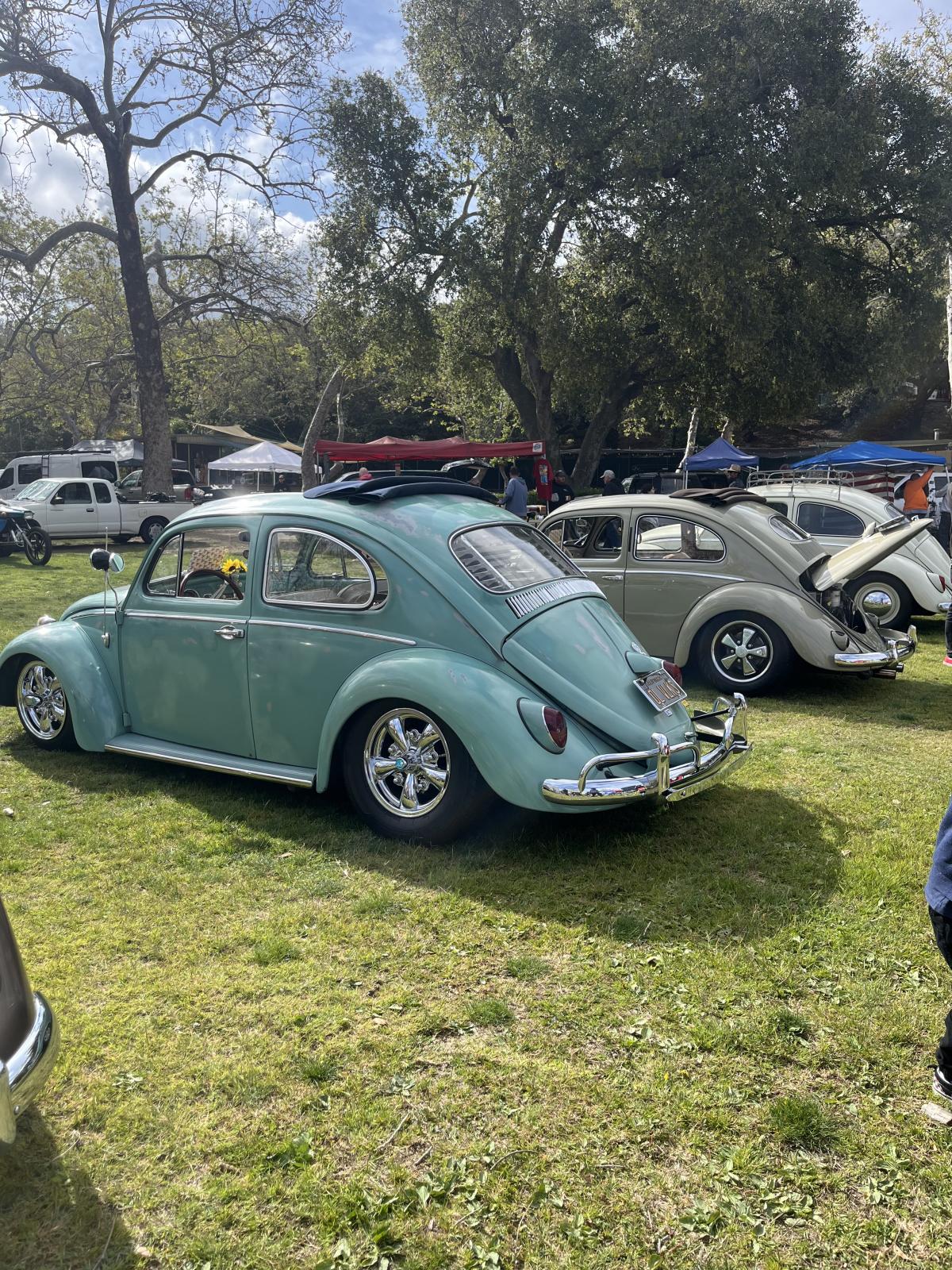 Image may have been reduced in size. Click image to view fullscreen.