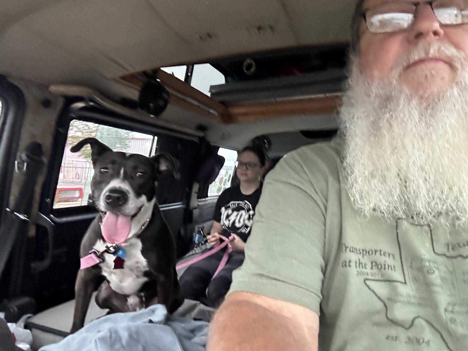 Image may have been reduced in size. Click image to view fullscreen.