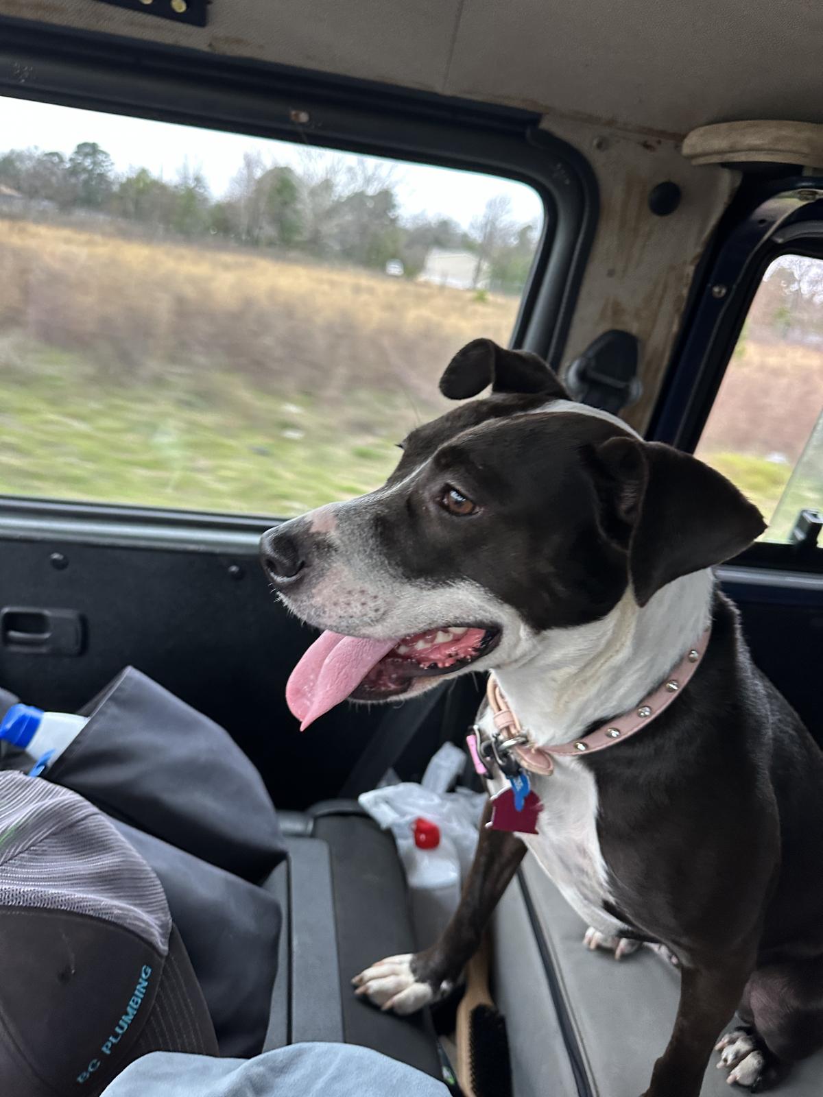 Image may have been reduced in size. Click image to view fullscreen.