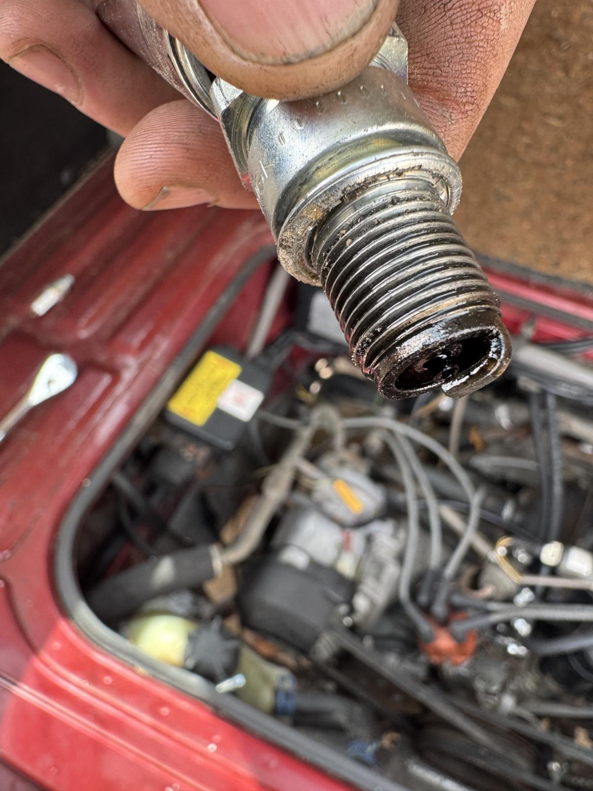 Image may have been reduced in size. Click image to view fullscreen.