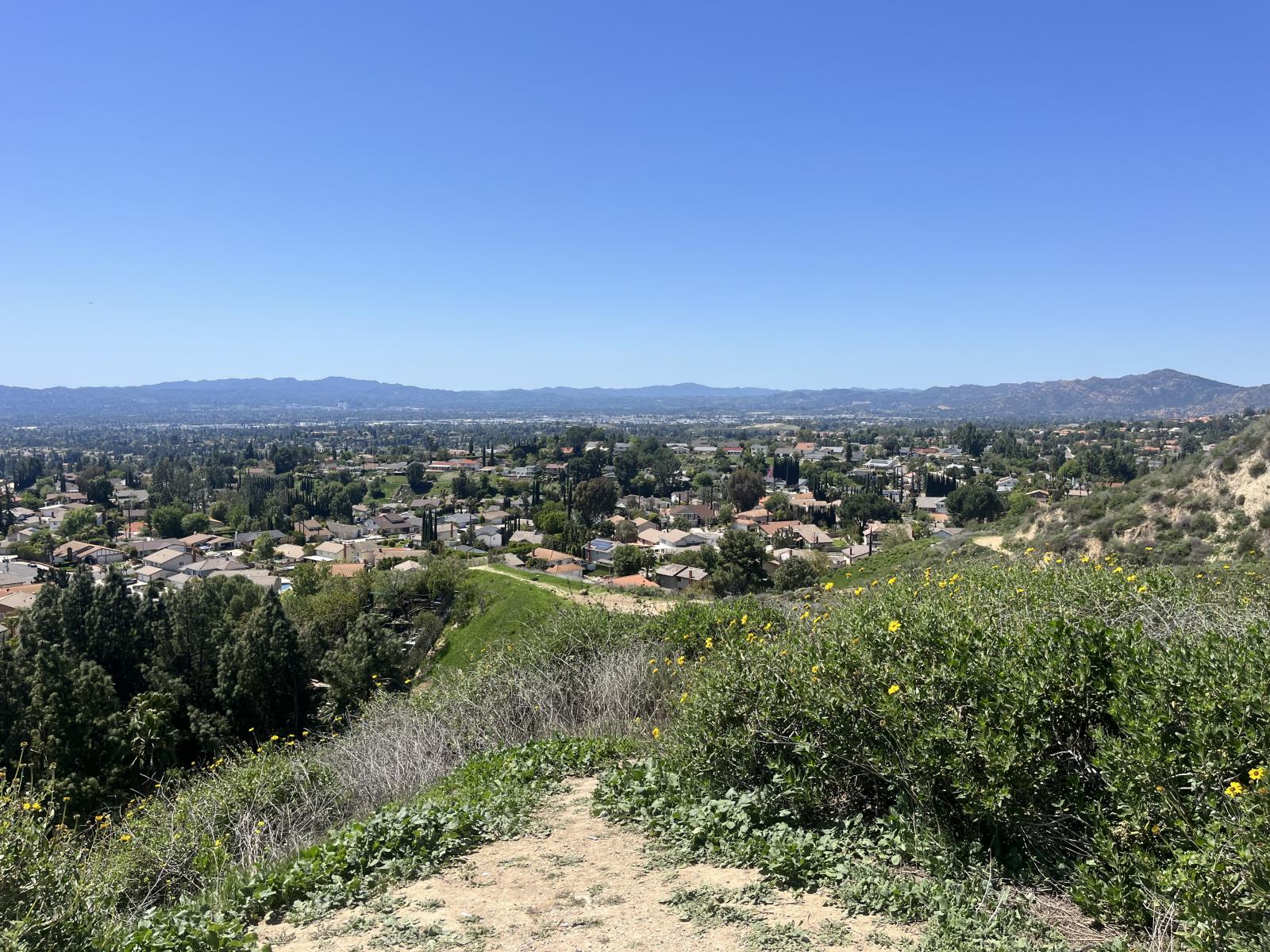 Image may have been reduced in size. Click image to view fullscreen.