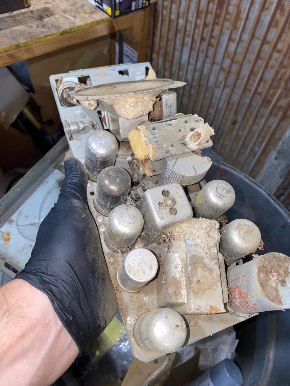 Image may have been reduced in size. Click image to view fullscreen.