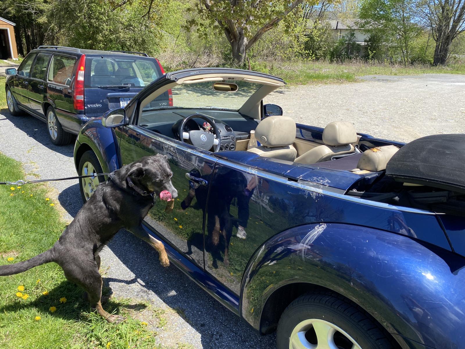 Image may have been reduced in size. Click image to view fullscreen.