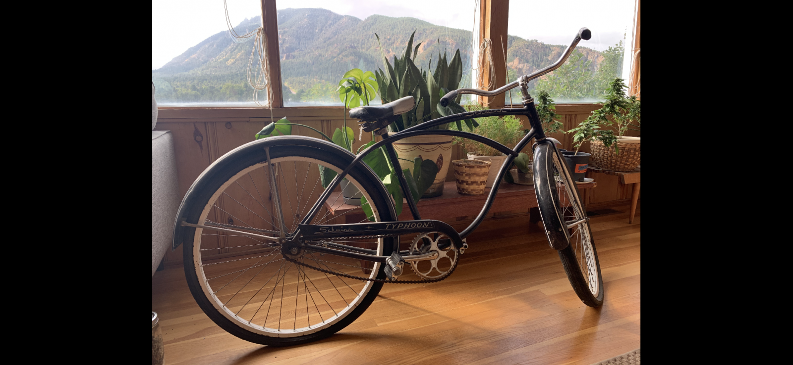 Image may have been reduced in size. Click image to view fullscreen.