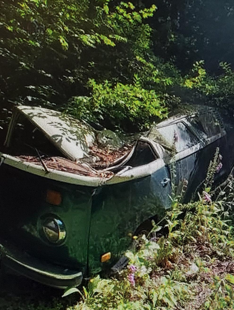 Image may have been reduced in size. Click image to view fullscreen.