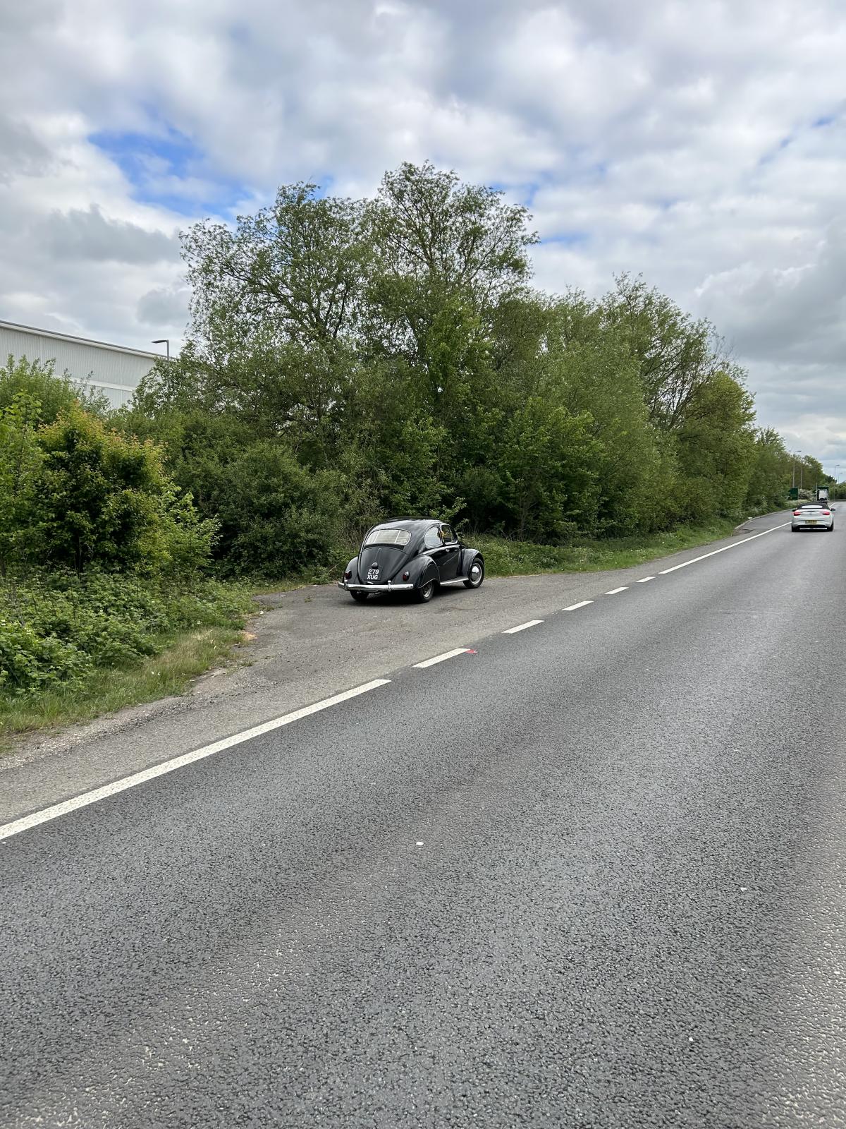 Image may have been reduced in size. Click image to view fullscreen.