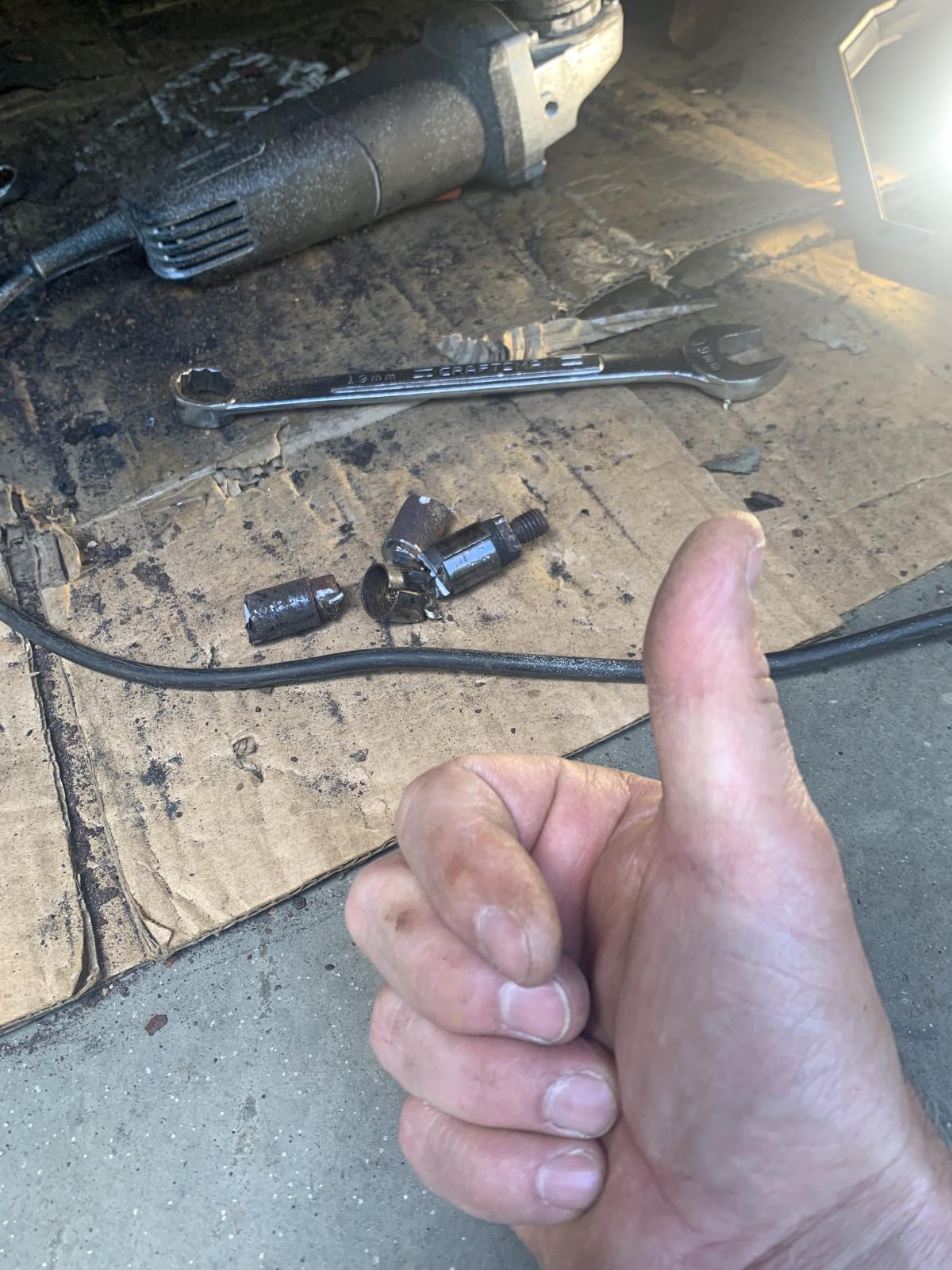 Image may have been reduced in size. Click image to view fullscreen.