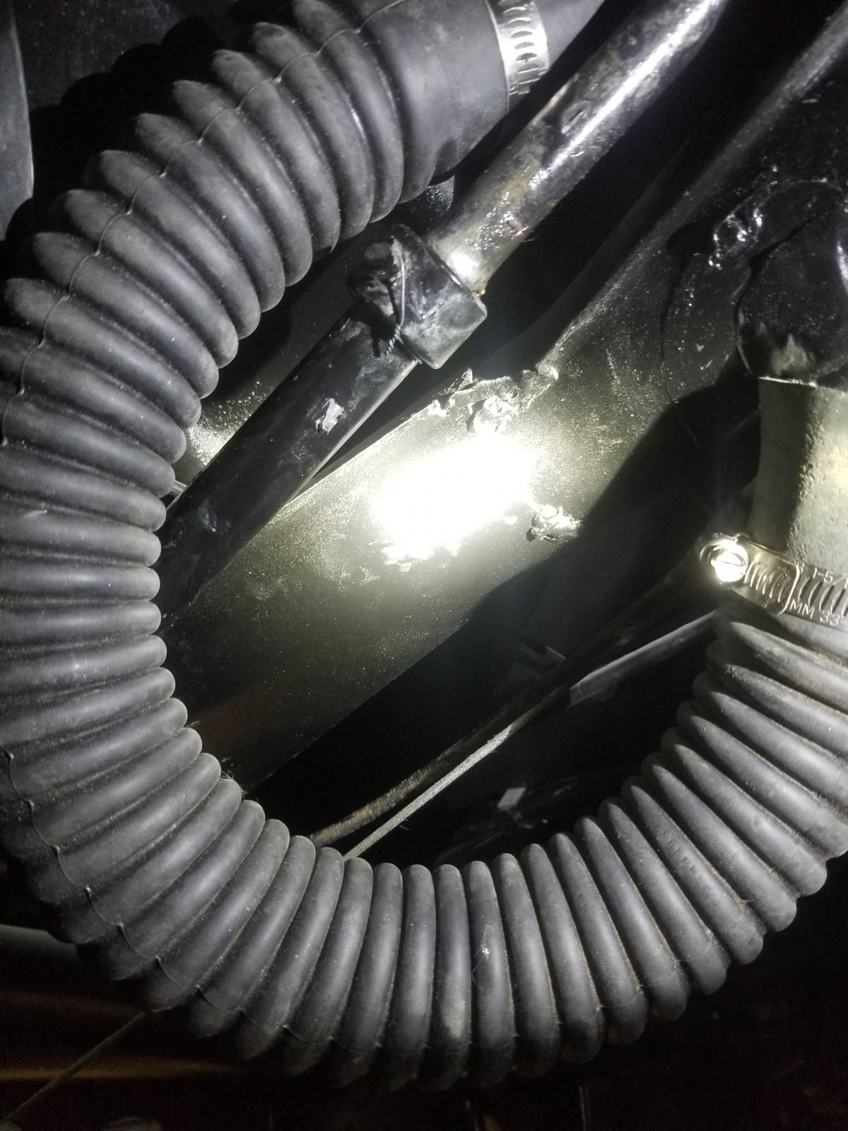 Image may have been reduced in size. Click image to view fullscreen.