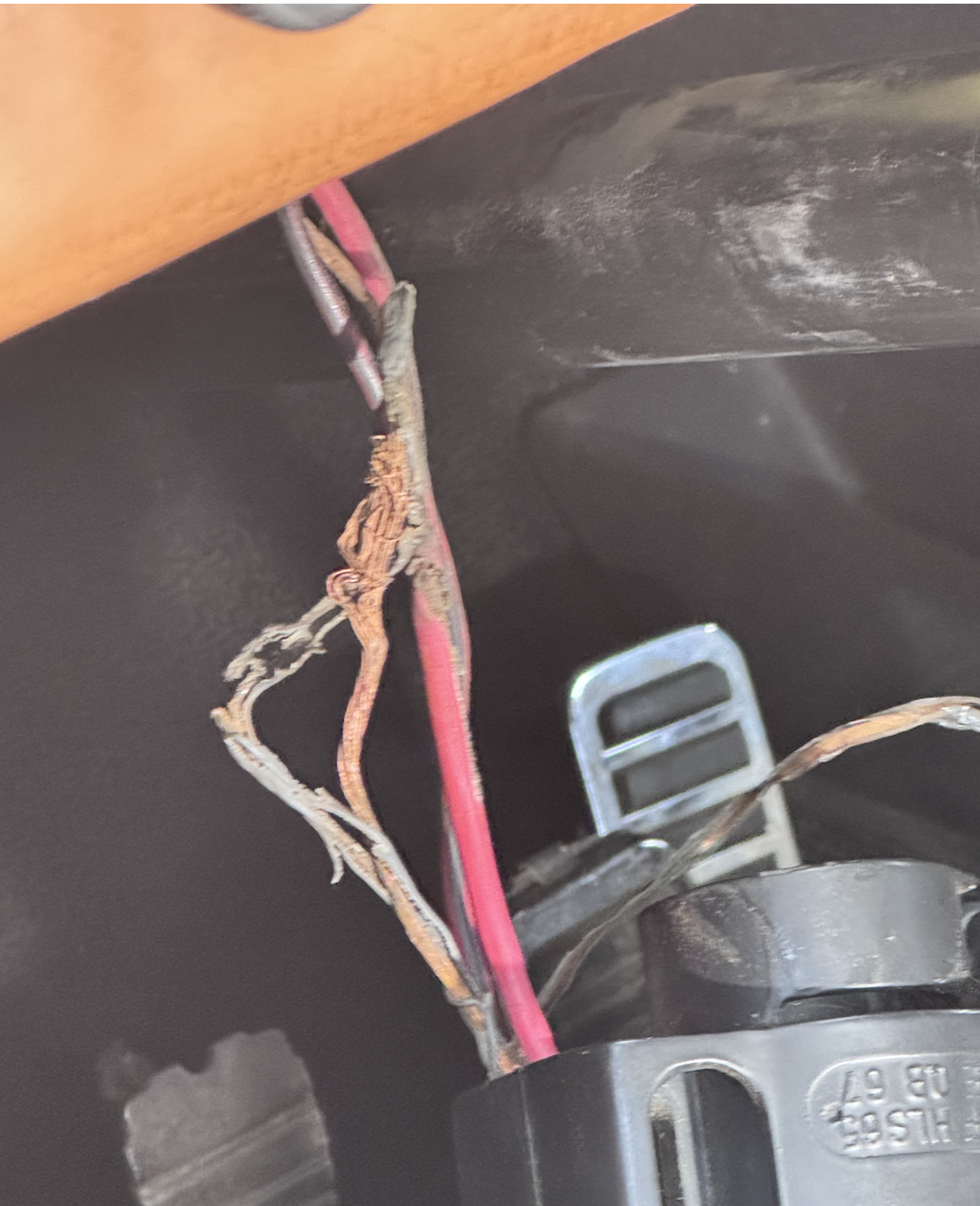 Image may have been reduced in size. Click image to view fullscreen.