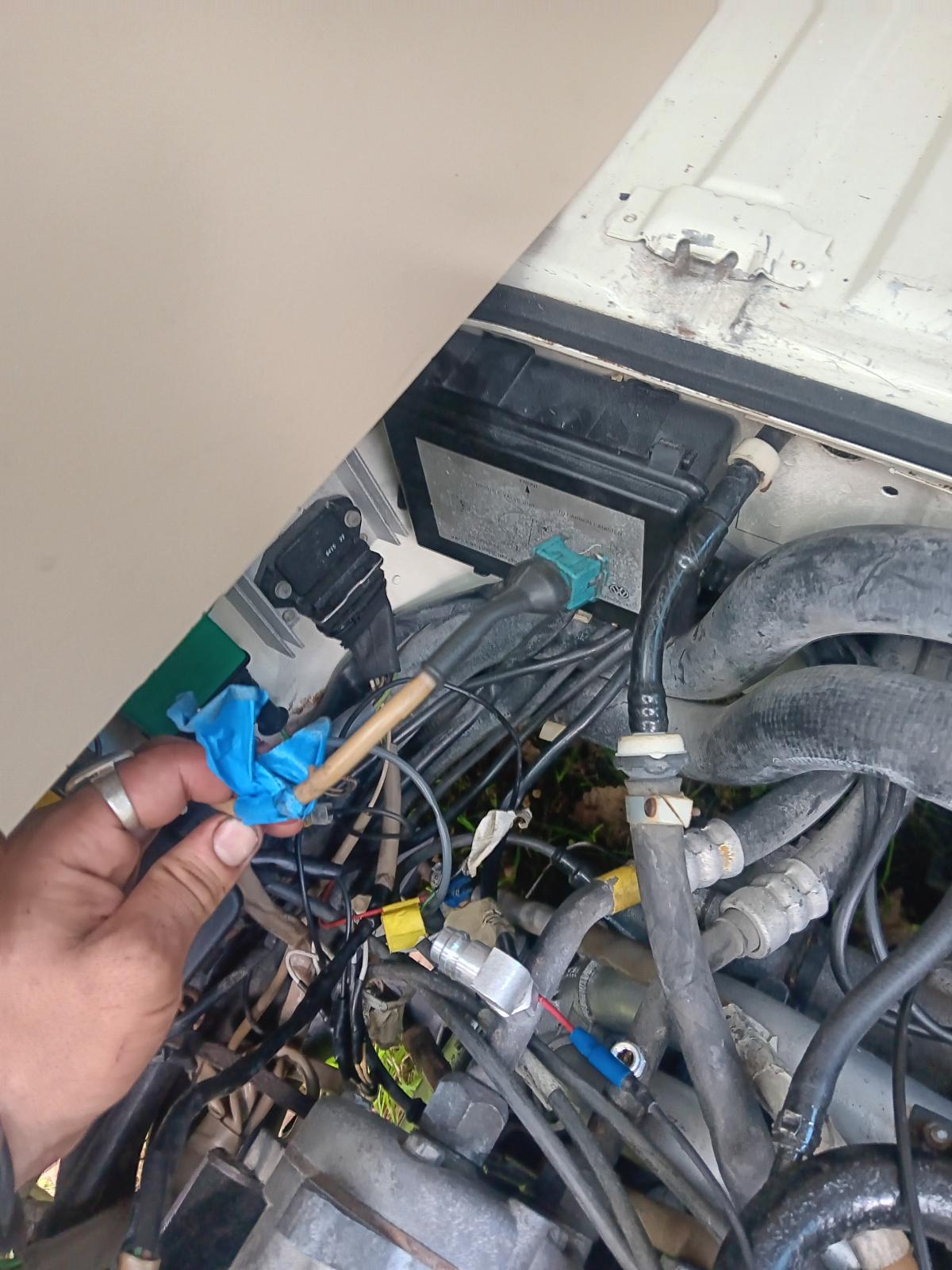 Image may have been reduced in size. Click image to view fullscreen.