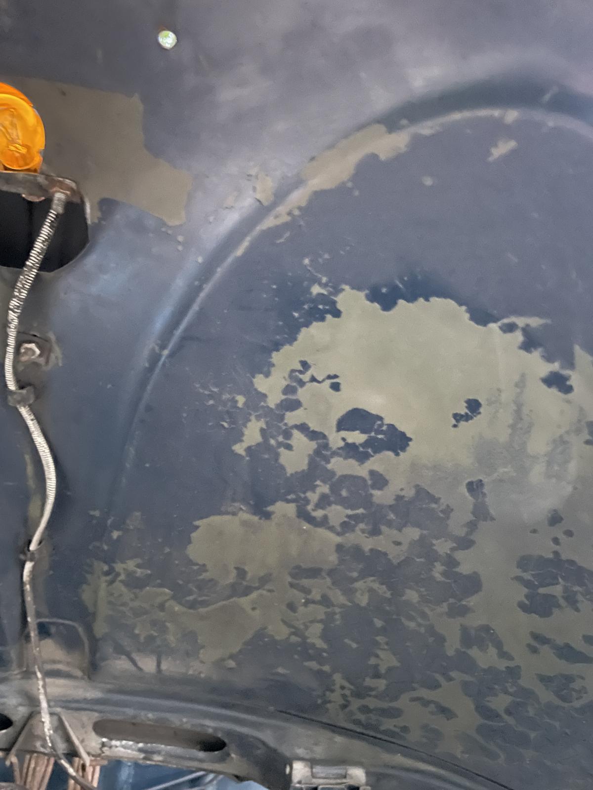 Image may have been reduced in size. Click image to view fullscreen.