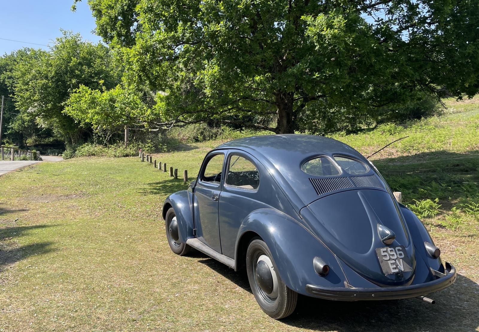 Image may have been reduced in size. Click image to view fullscreen.