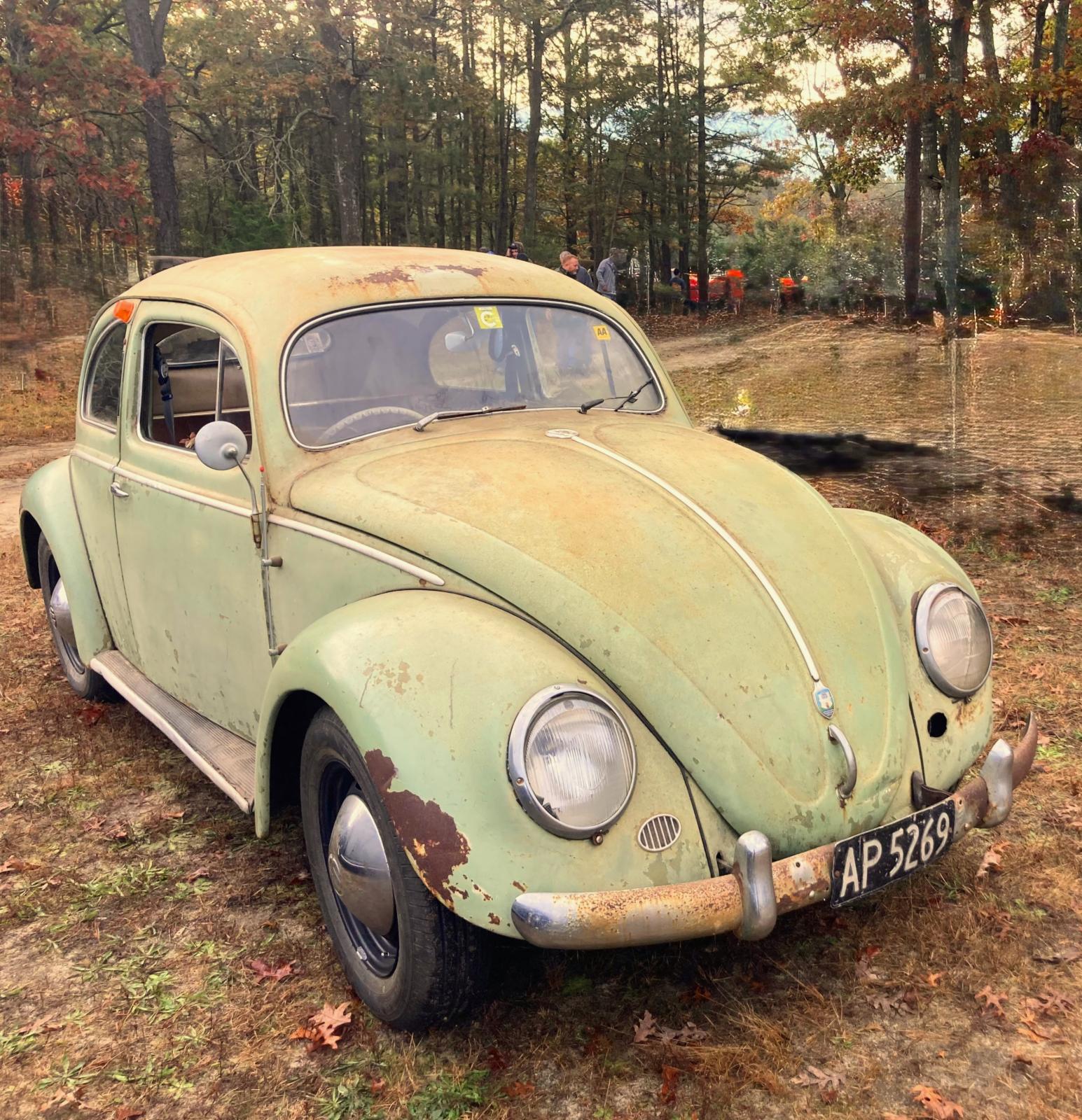 Image may have been reduced in size. Click image to view fullscreen.