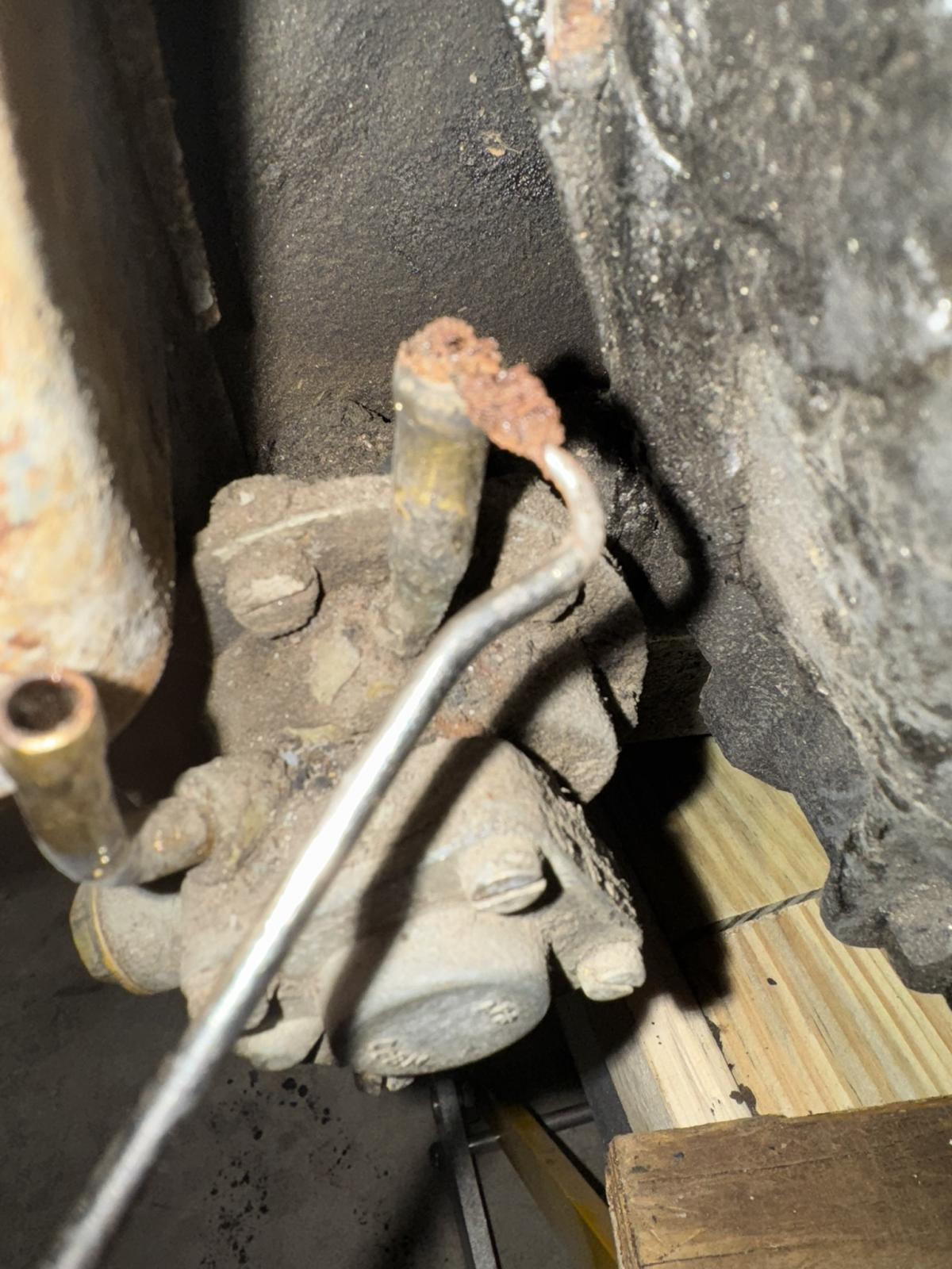 Image may have been reduced in size. Click image to view fullscreen.