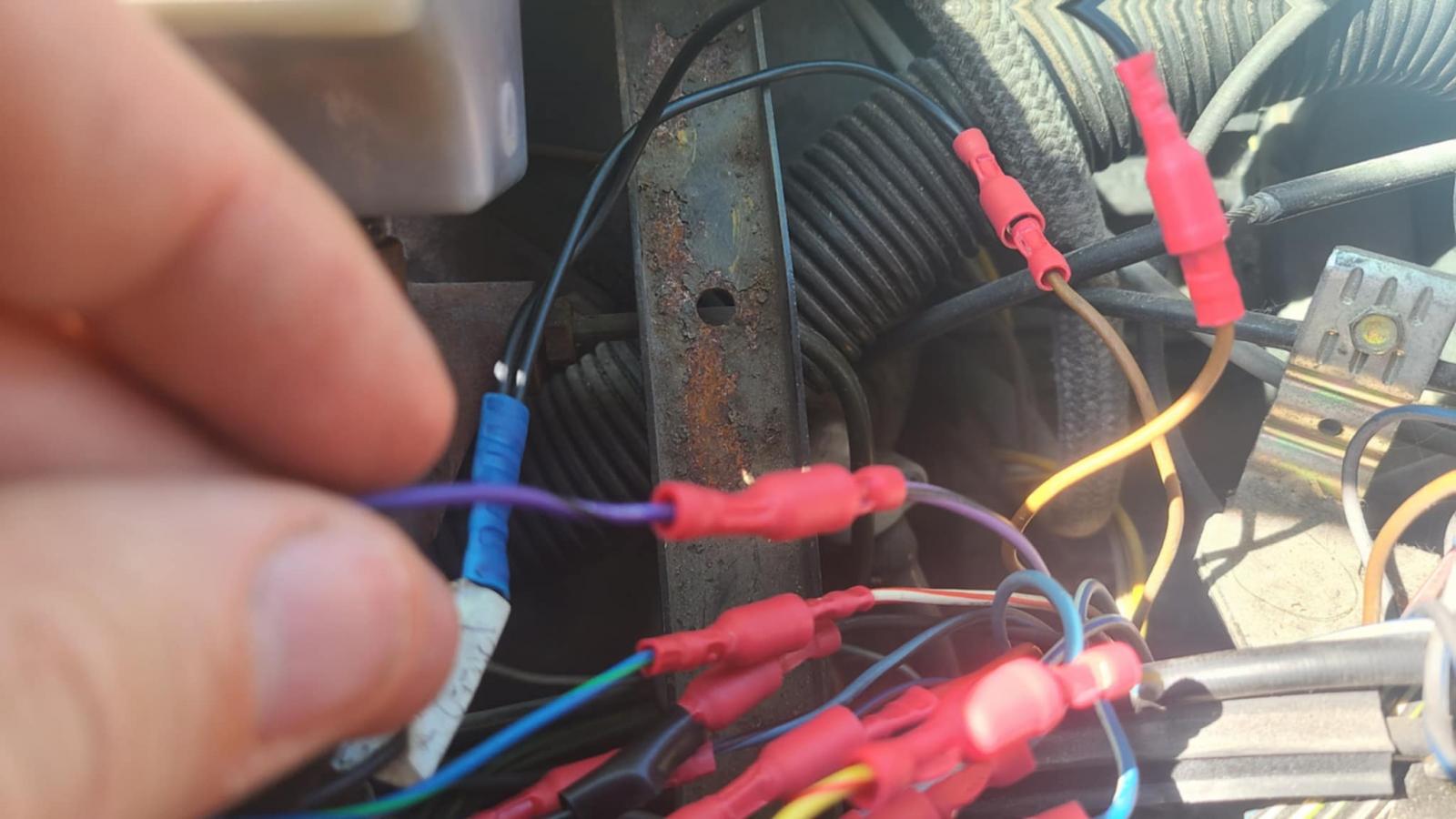 Image may have been reduced in size. Click image to view fullscreen.