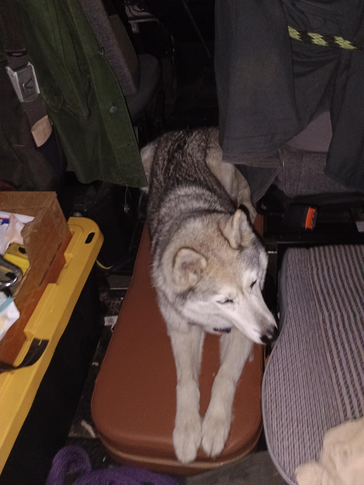 Image may have been reduced in size. Click image to view fullscreen.