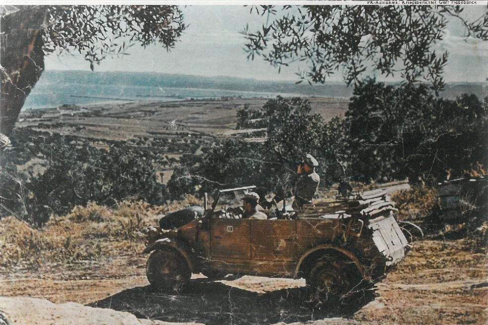 Image may have been reduced in size. Click image to view fullscreen.
