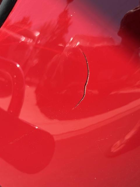 Image may have been reduced in size. Click image to view fullscreen.