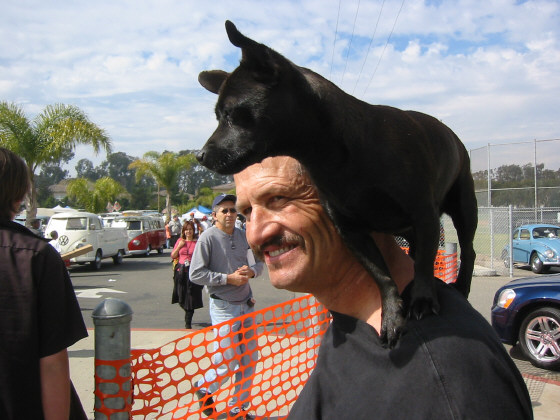 Image may have been reduced in size. Click image to view fullscreen.