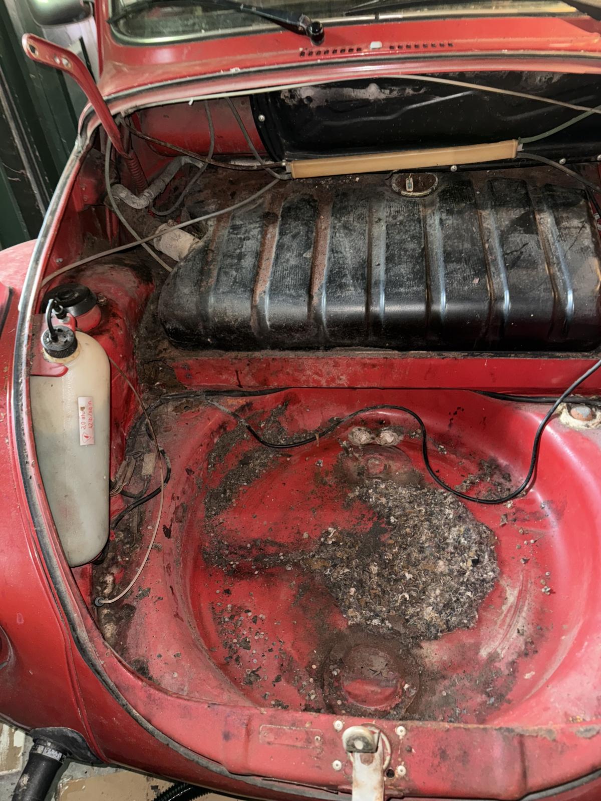 Image may have been reduced in size. Click image to view fullscreen.