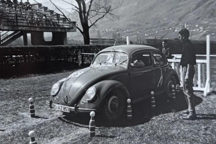 Image may have been reduced in size. Click image to view fullscreen.