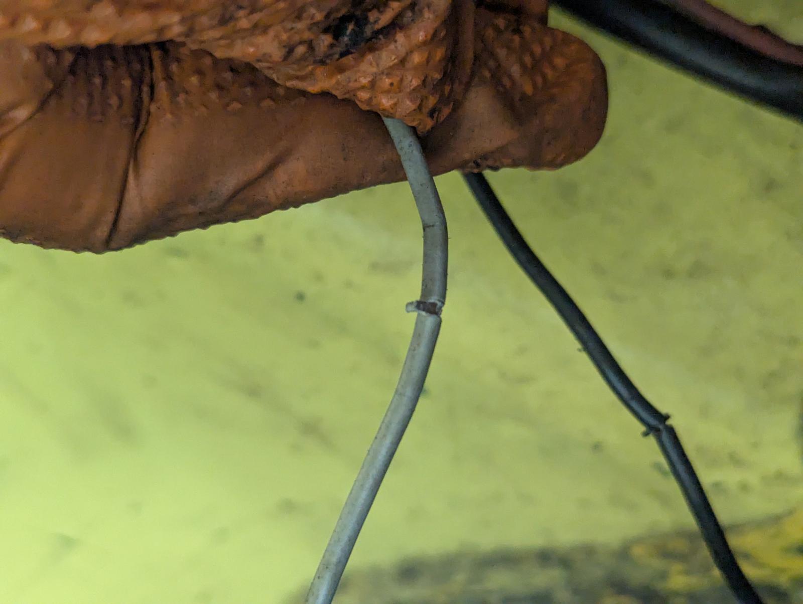 Image may have been reduced in size. Click image to view fullscreen.