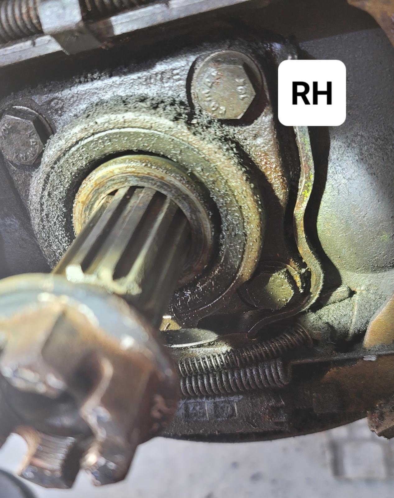 Image may have been reduced in size. Click image to view fullscreen.