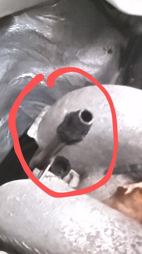 Image may have been reduced in size. Click image to view fullscreen.