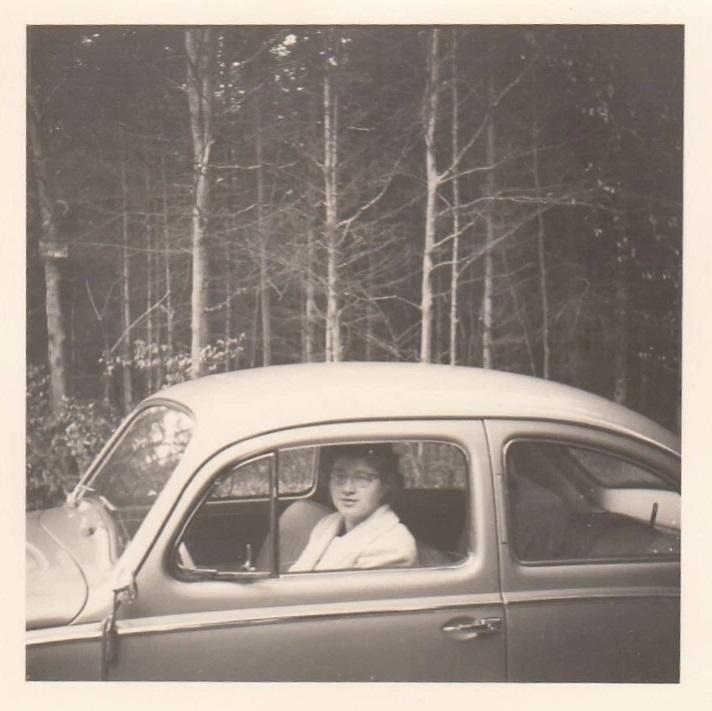 Image may have been reduced in size. Click image to view fullscreen.