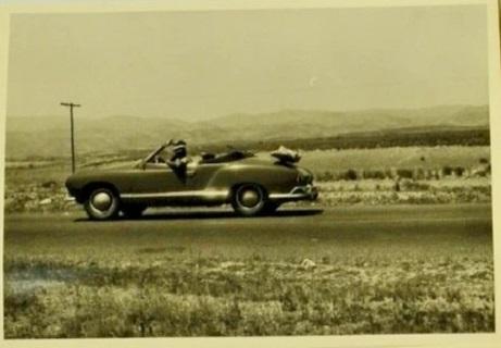 Image may have been reduced in size. Click image to view fullscreen.