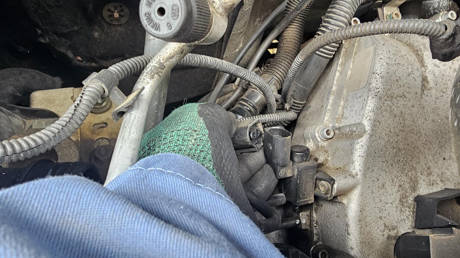 Image may have been reduced in size. Click image to view fullscreen.