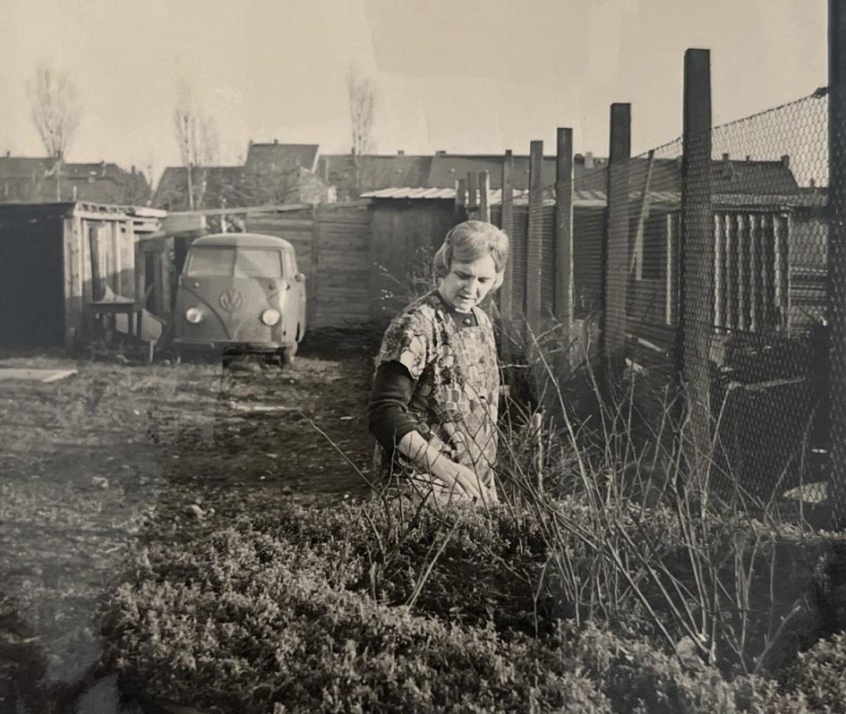 Image may have been reduced in size. Click image to view fullscreen.