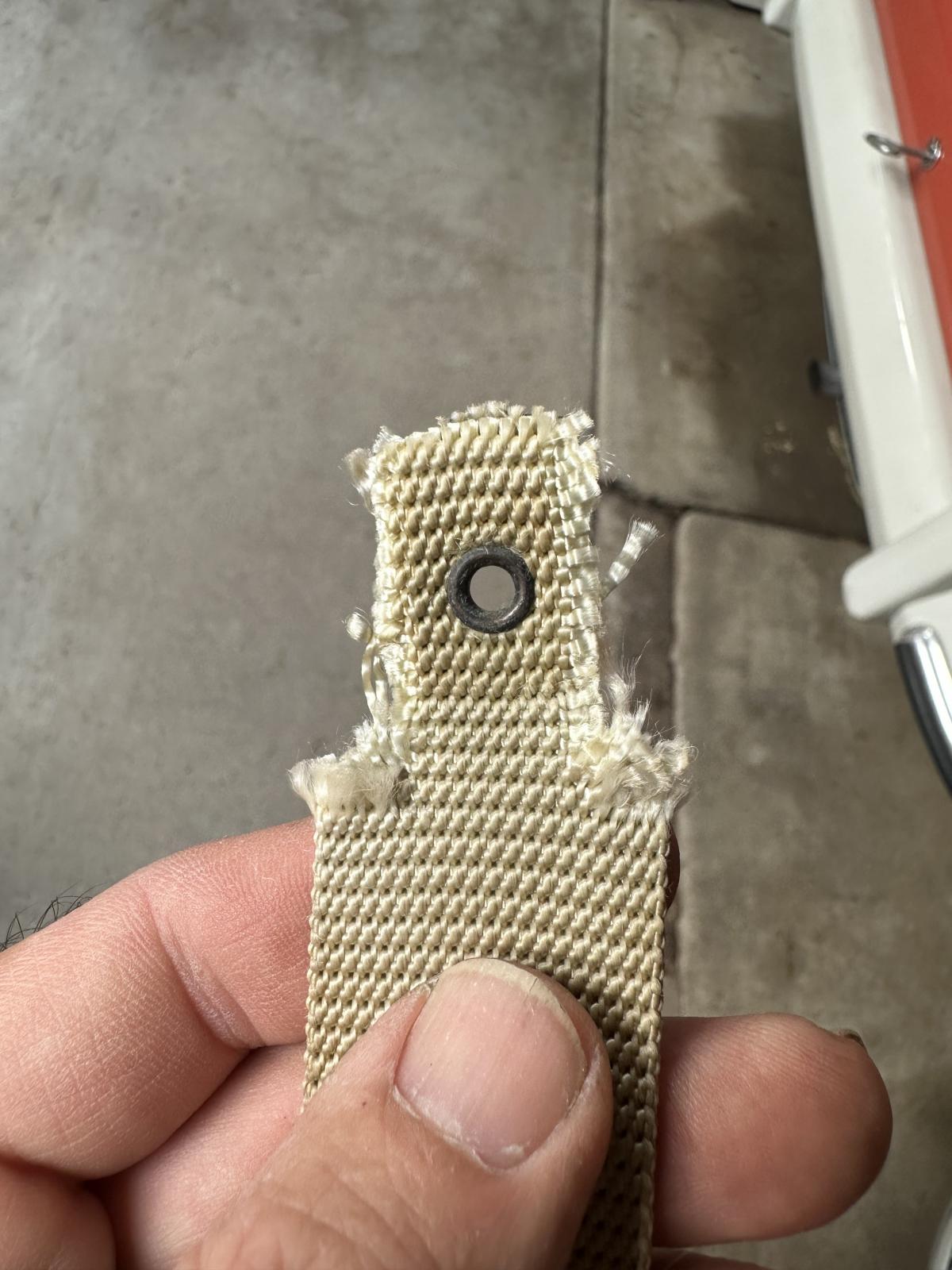 Image may have been reduced in size. Click image to view fullscreen.