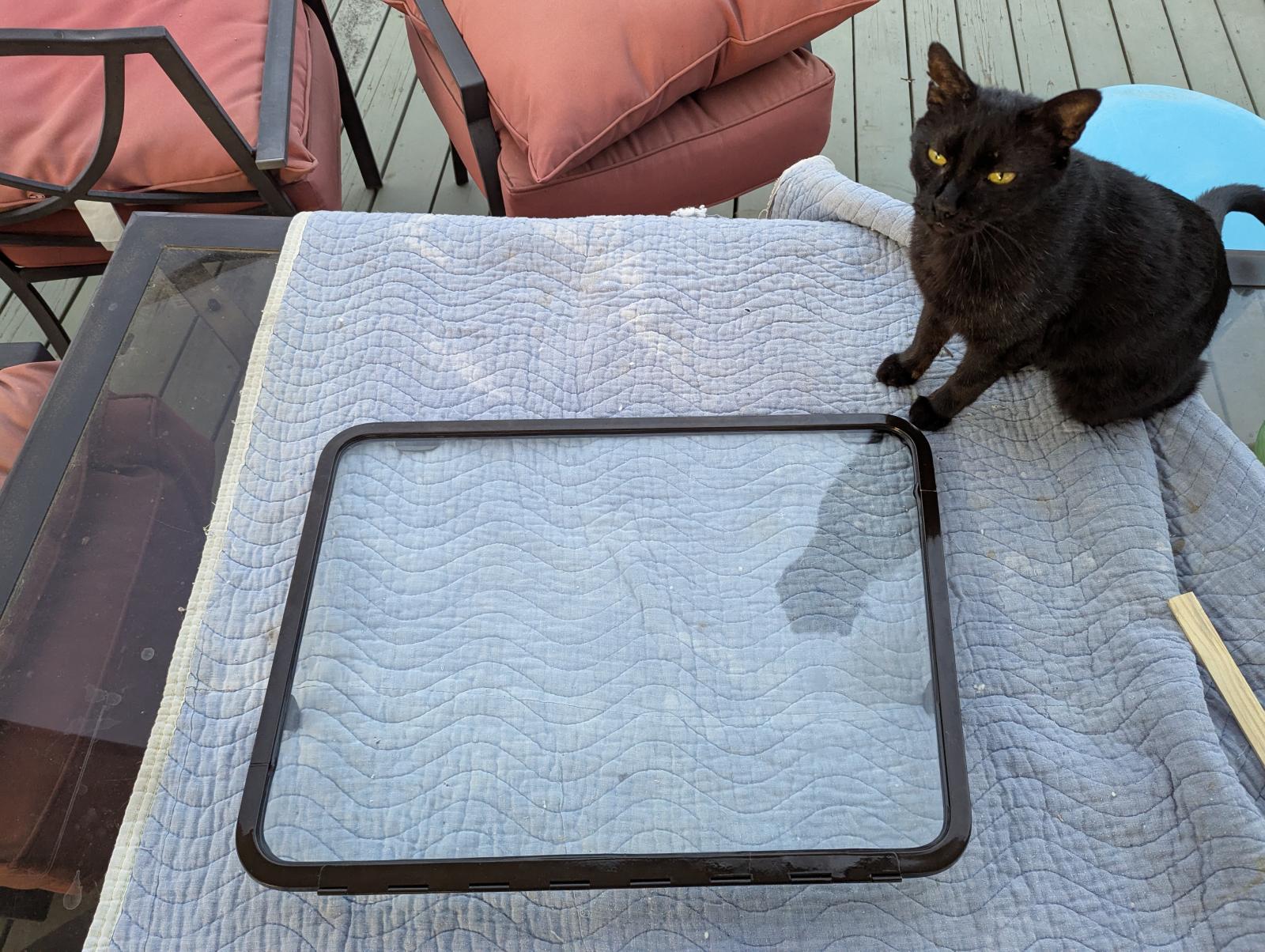 Image may have been reduced in size. Click image to view fullscreen.